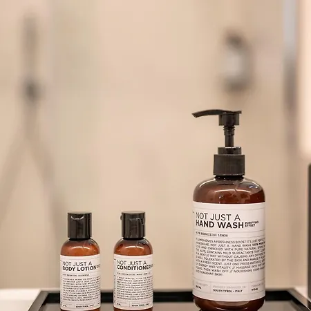 Steinach Townhouse 梅拉诺