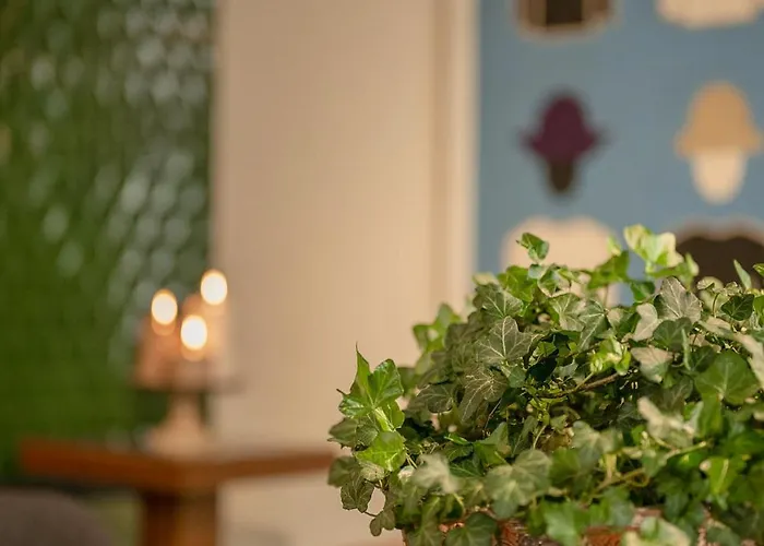 Steinach Townhouse 4*